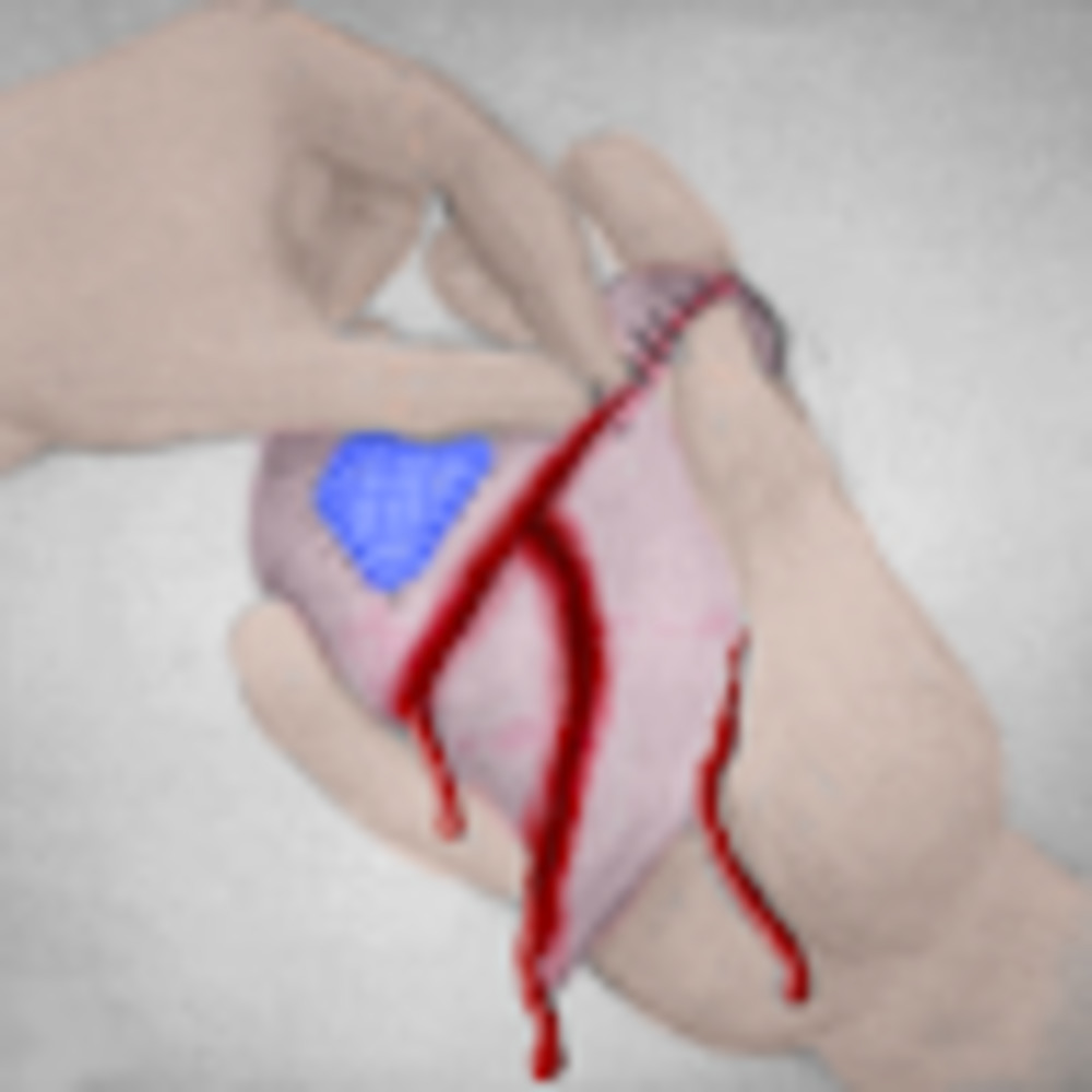 Meet your Posher, Fiona fyre